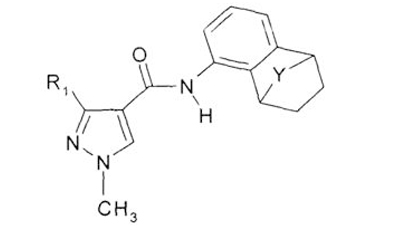 三唑类（烯唑醇、三唑酮、腈菌唑、丙环唑、戊唑醇、氟硅唑、三环唑、苯醚甲环唑、己唑醇等）敏感作物 药害及解救措施