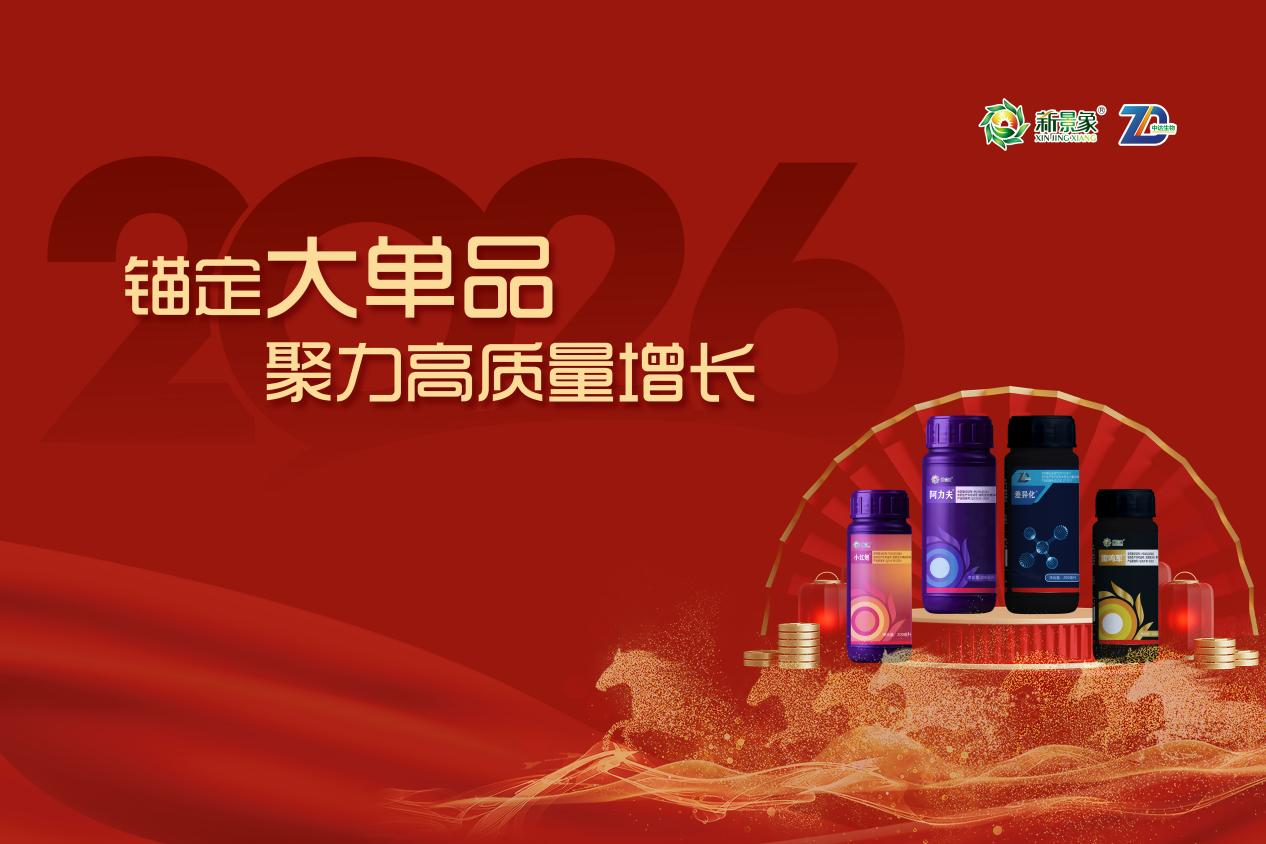 锚定大单品 聚力高质量增长 ——广东新景象&广州市中达2025年度盛会圆满举行